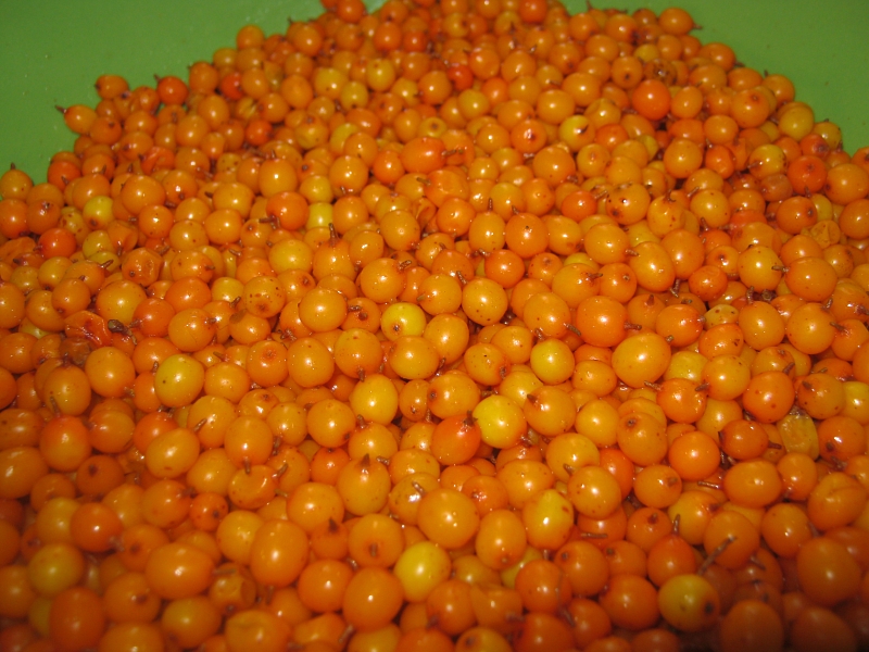 Töltsük fel a vitaminkészletünket